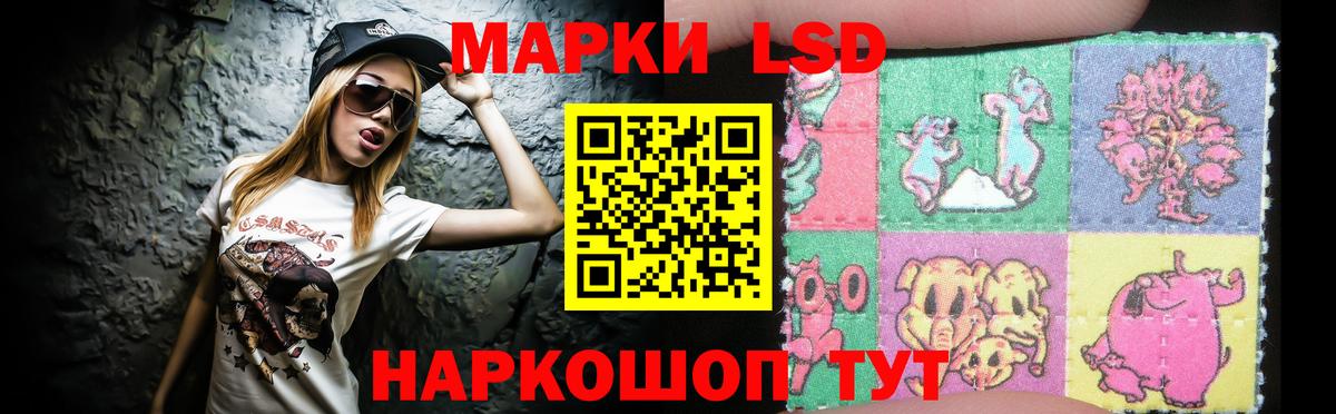 Альфа ПВП Домодедово