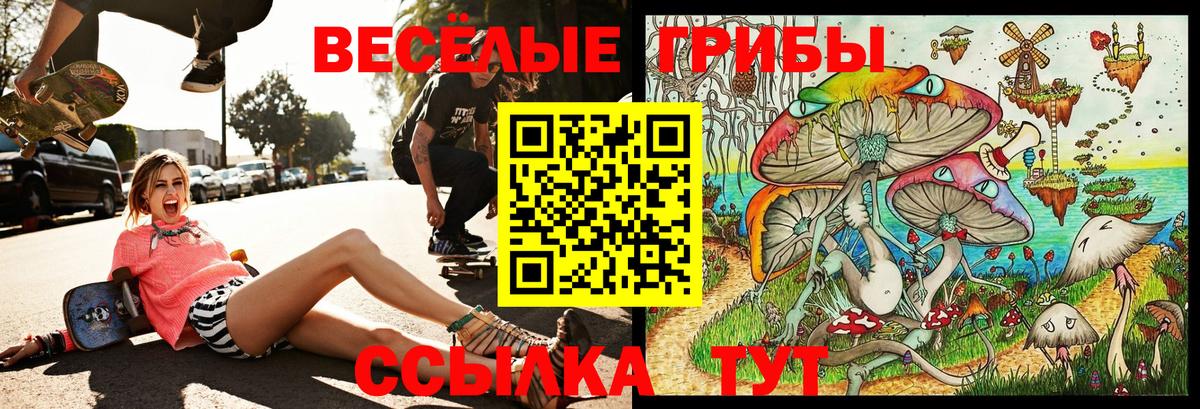 Домодедово  Галлюциногенные грибы Magic Shrooms  Галлюциногенные грибы мицелий  Вход с VPN 